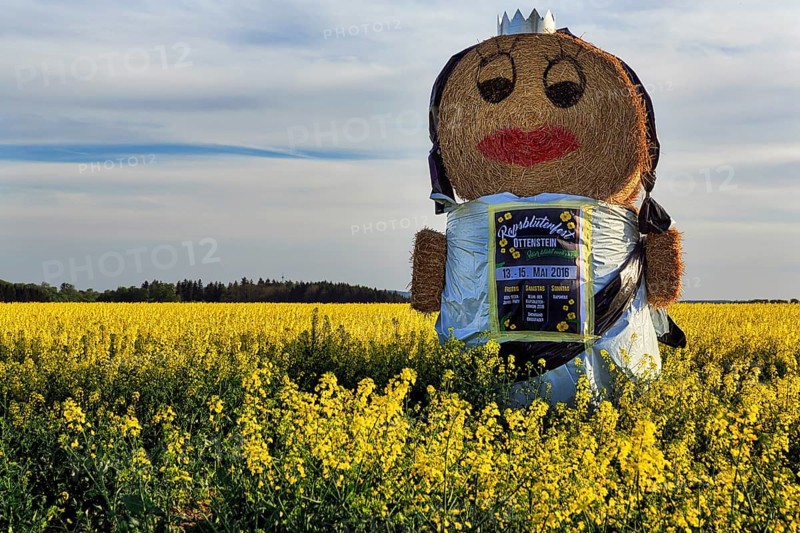 Straw puppet in a rape field