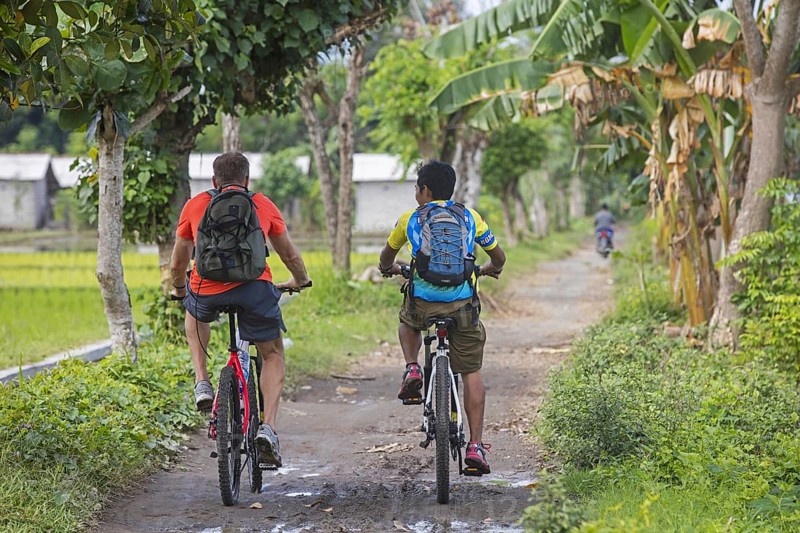 Western tourist with Indonesian guide riding mountain bikes during bicycle tour among rice fields on the island Lombok