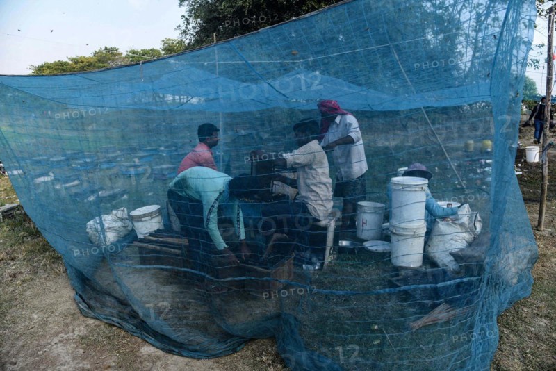 Bee keepers working in a bee farm near a mustards field in a village in Barpeta district of Assam in India on Wednesday 22 December 2021. The bee keeping business is one of the most profitable businesses in India. India has more than 3.5 million bee colonies. Indian apiculture market size is expected to reach a value of more than Rs. 30000 million by 2024