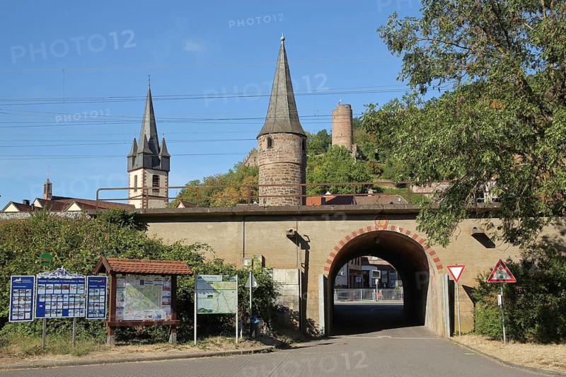 Historical Owl Tower