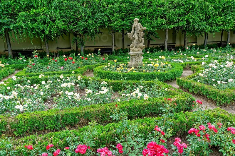 Rose Garden