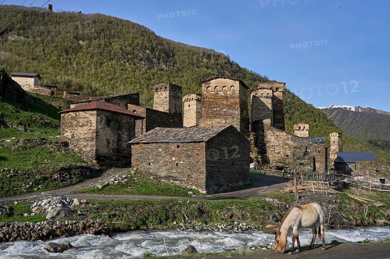 Horse in front of the Inguri river