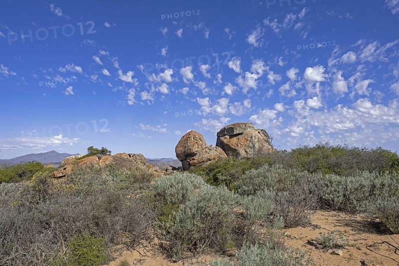 Semi-desert landscape in the Namaqua National Park