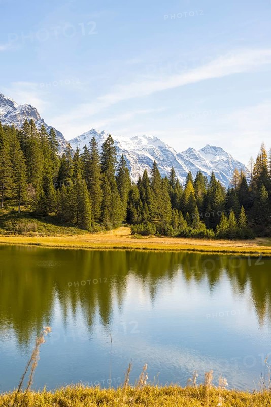 Alpine Lake with Snowcapped Mountain and Trees in San Bernardino in Switzerland