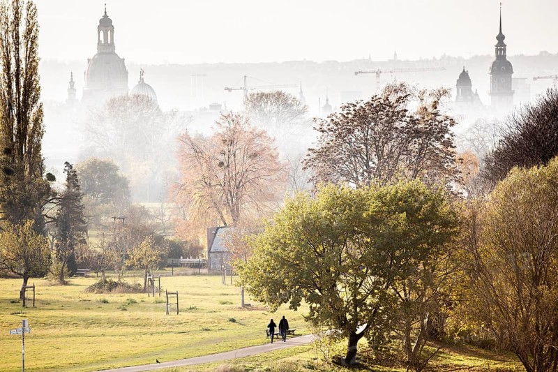 A couple walking along the Elbe meadows against the backdrop of Dresden's old town