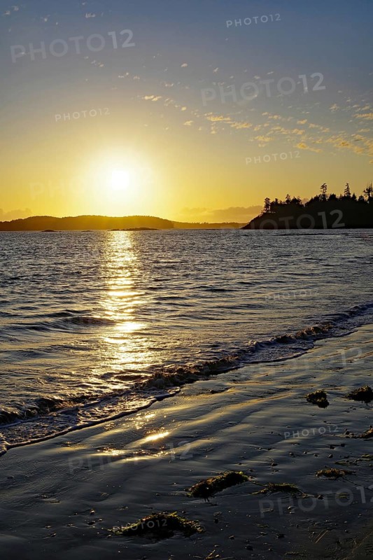 Deserted sandy beach at sunset