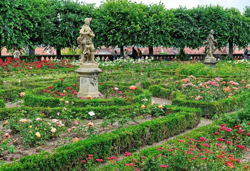 Rose Garden