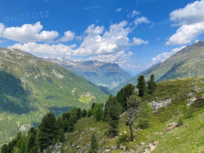 View of green mountain slope and green valley Oetztal in Oetztal Alps of Austria in height of tree line in summer summertime