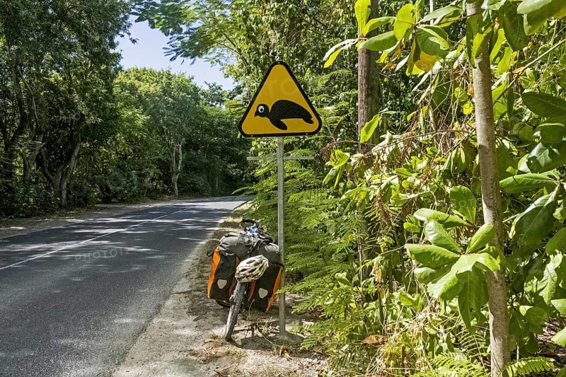 Touring bicycle and warning sign for turtles crossing the road on Basse-Terre Island
