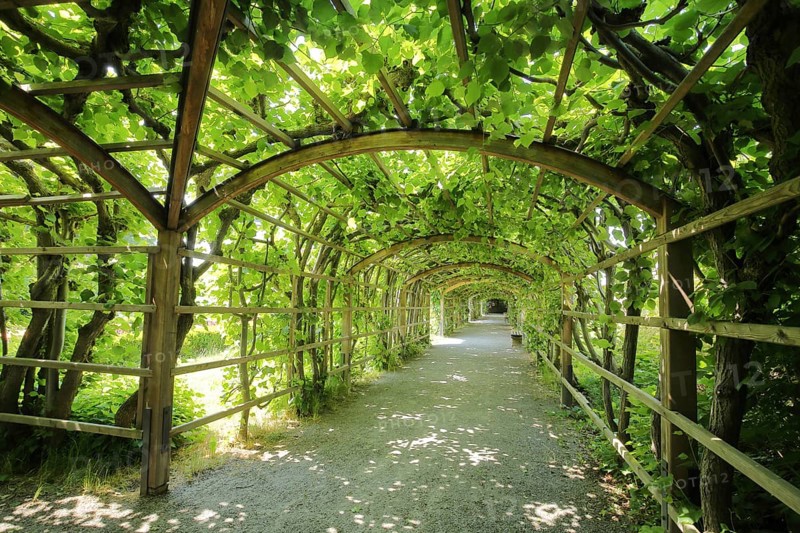 Arbour walk in the castle garden