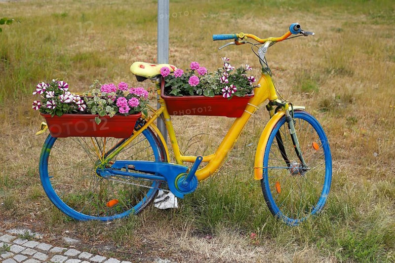 Colourful bicycle decorated with flowers and flower boxes