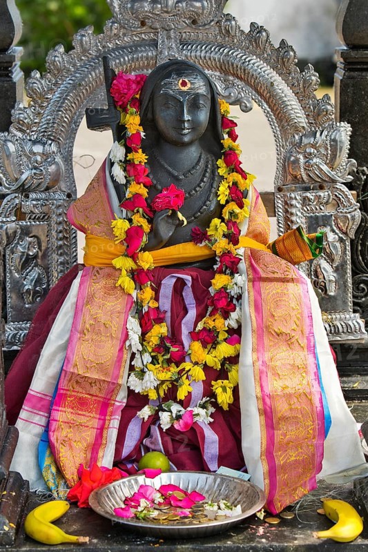 A goddess at the temple festival in front of the Hindu temple Sri Kamadchi Ampal