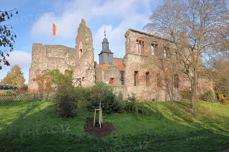 Romanesque palace of Hayn Castle and church tower