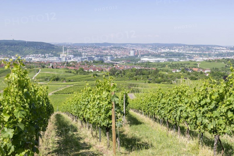 View of the city of Stuttgart with Mercedes-Benz plant Untertuerkheim