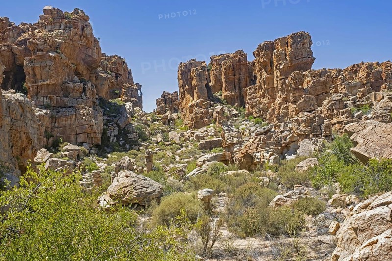 Sandstone rock formations at Truitjieskraal in the Matjiesrivier Nature Reserve