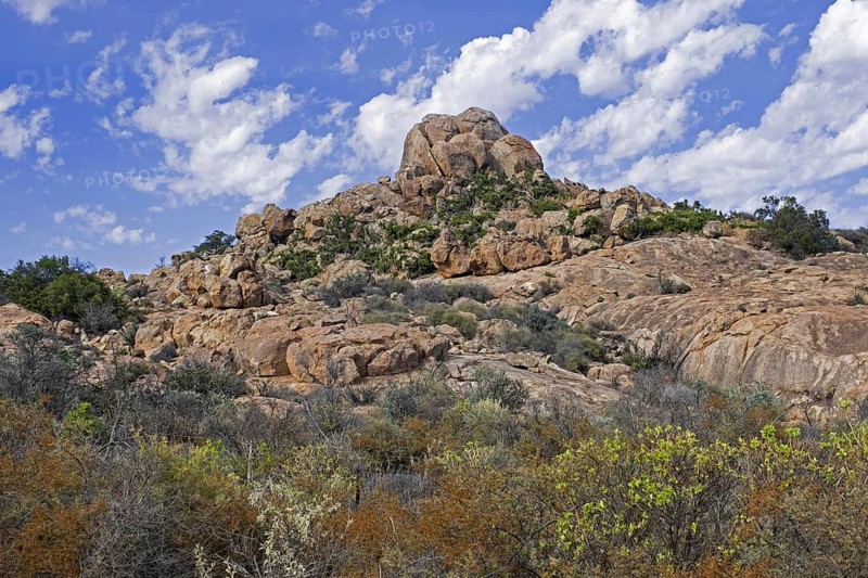Semi-desert landscape in the Namaqua National Park