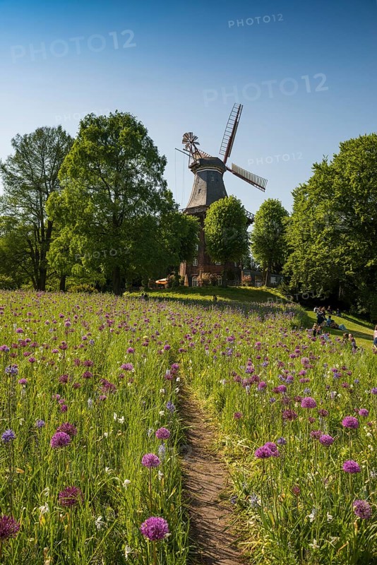 Windmill with colourful flowerbeds
