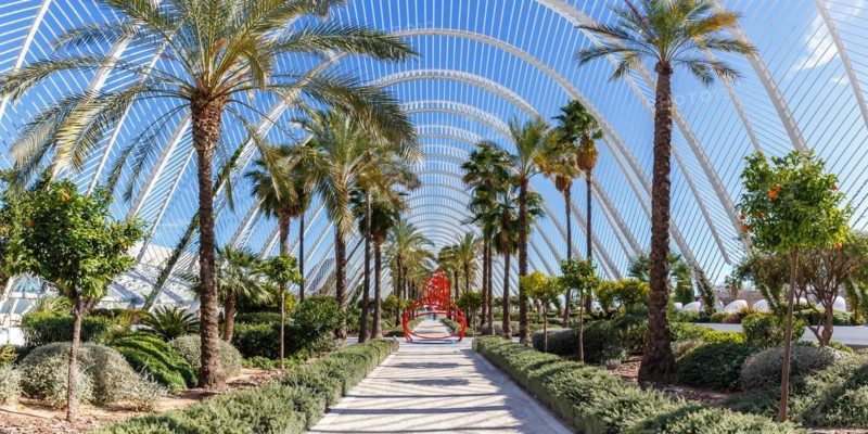 Ciutat de les Arts i les Ciencies with L'Umbracle building modern architecture by Santiago Calatrava panorama in Valencia