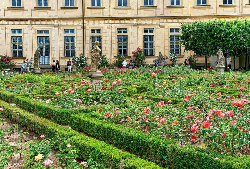 Rose Garden