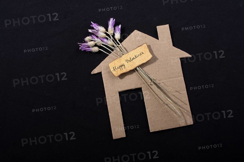 Flower and Valentine's day wording on house Love concept