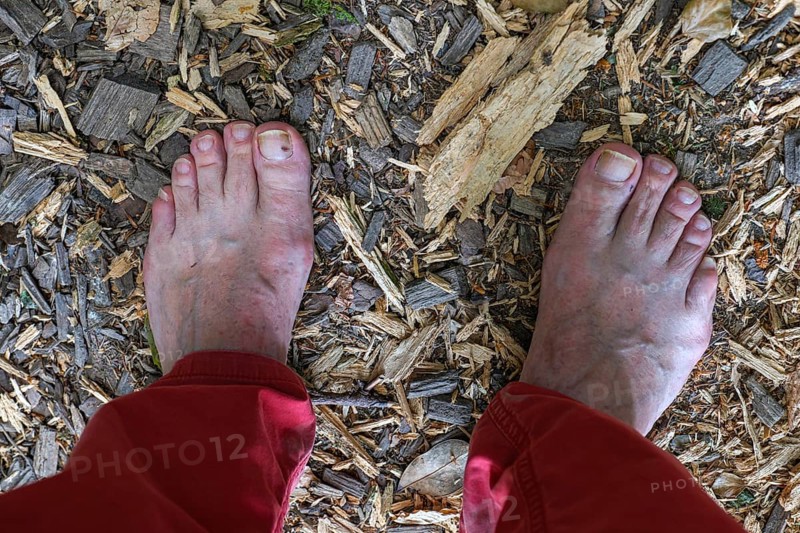 Feet of a man on the Wuppenau barefoot path on the Nollen