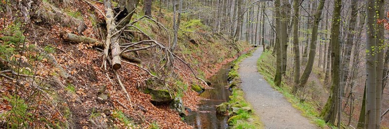 Path through the Radau Valley