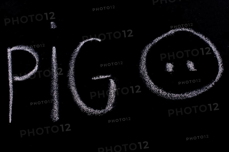 Pig sign drawn on the blackboard with chalk