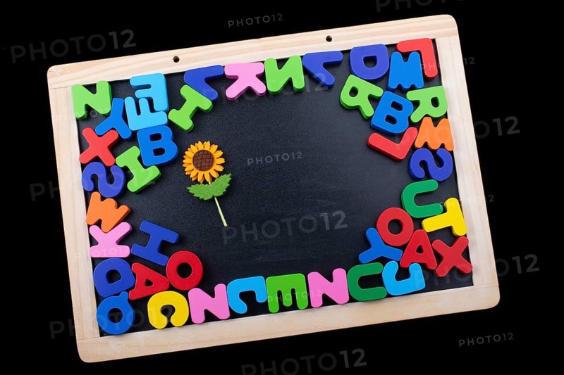 Fake flower and colorful Letters of Alphabet made of wood