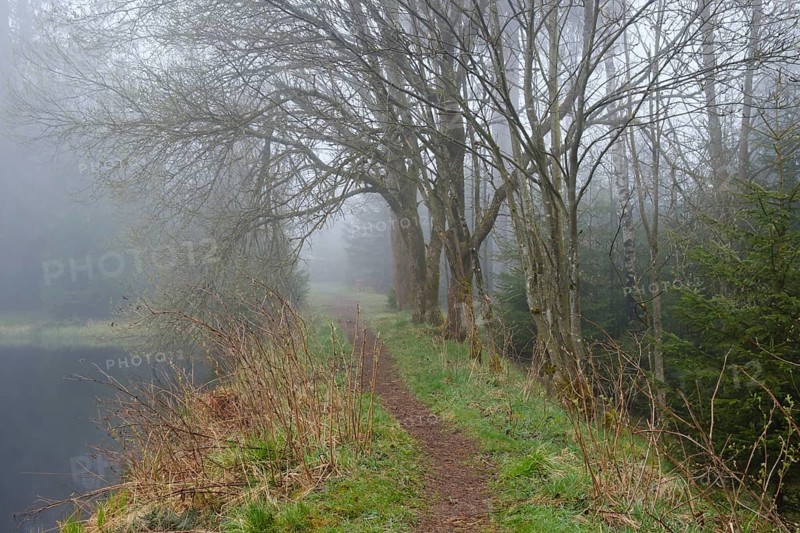 Path at the Marienteich