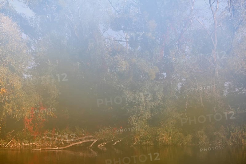 Autumn in the floodplain