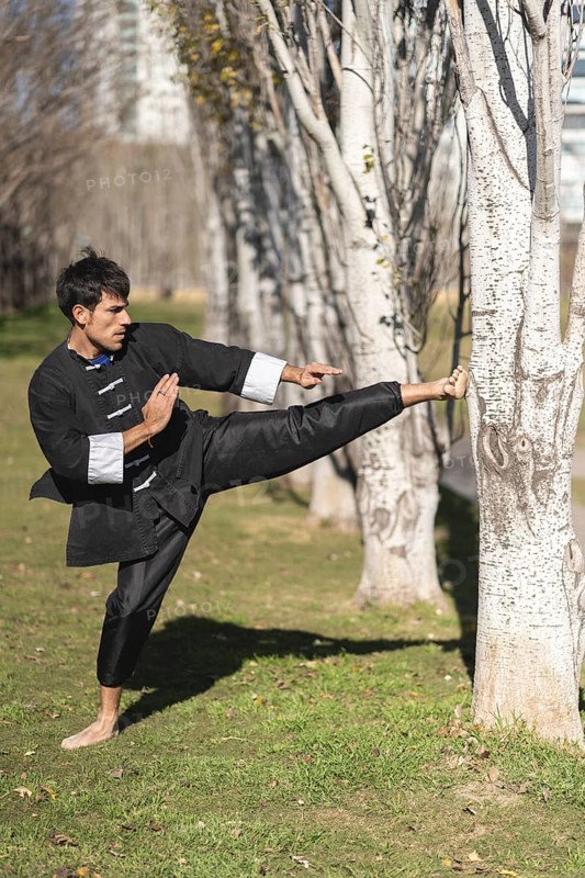 Young man practicing Kung Fu in the park
