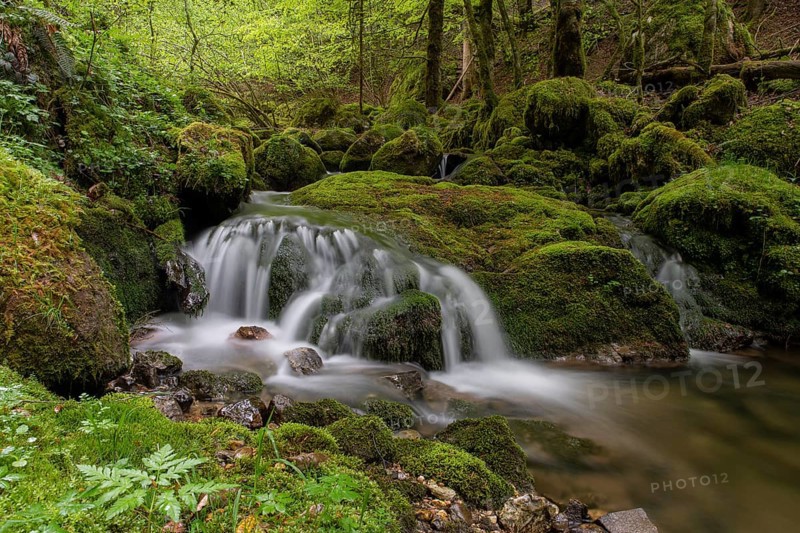 Waterfall in the UNESCO World Heritage Beech Forest in the Limestone Alps National Park