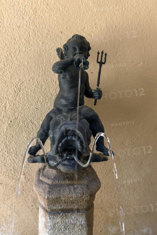 Copy of the historic Dolphin Rider Fountain
