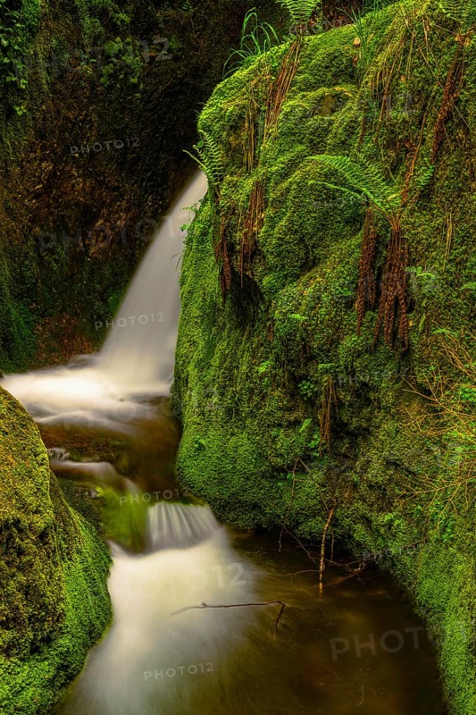 Edelfrauengrab waterfall of the Gottschlag stream in the Black Forest National Park near Ottenhoefen