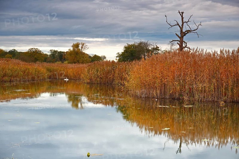 Autumn in the floodplain