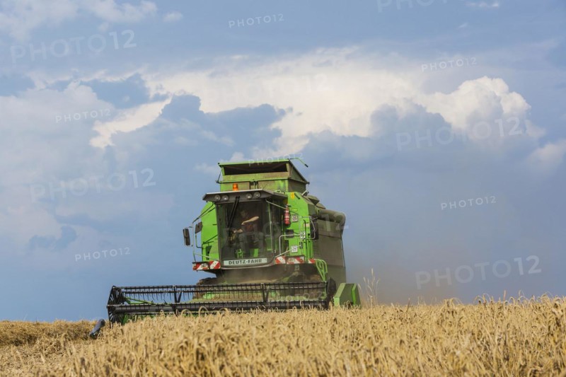 Grain harvest in the Schwaebische Alb