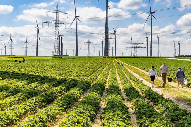 Sintfeld wind farm