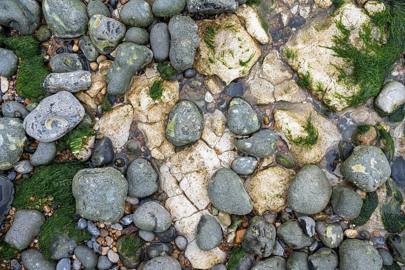 Round cut flints and limestones