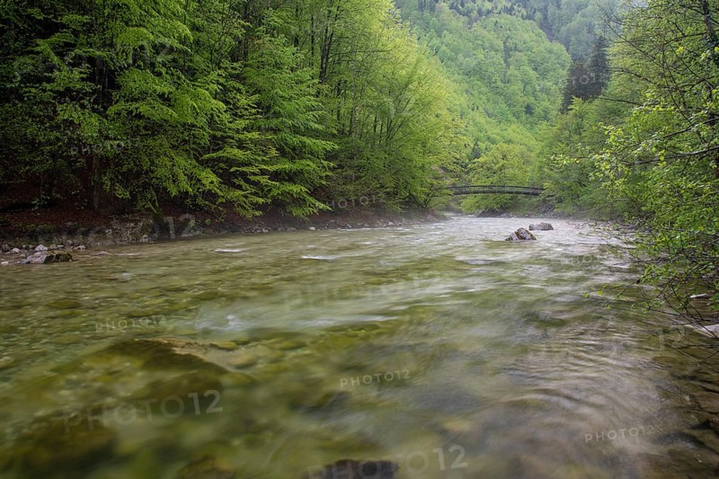 Beech trail across the mountain stream in the UNESCO World Heritage Beech Forest in the Limestone Alps National Park