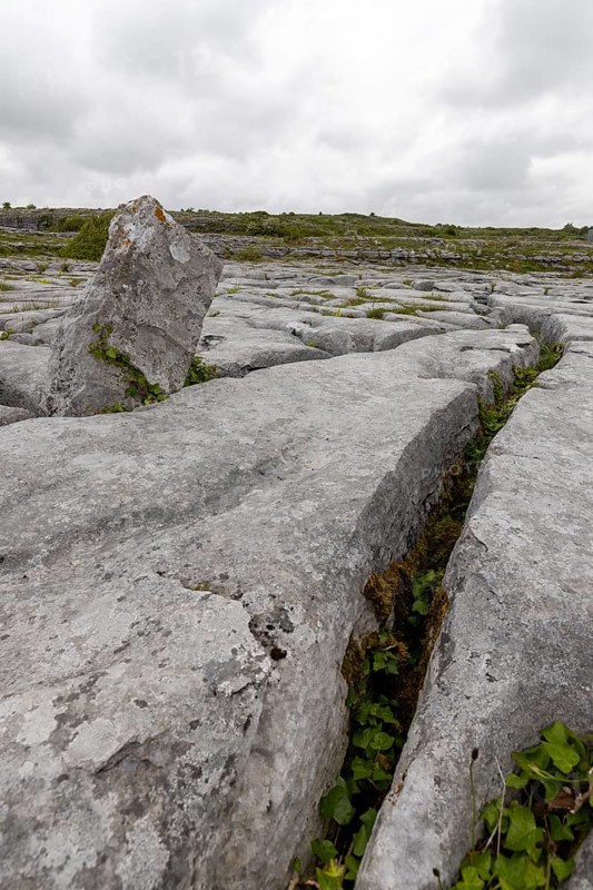 Barrows and gullies