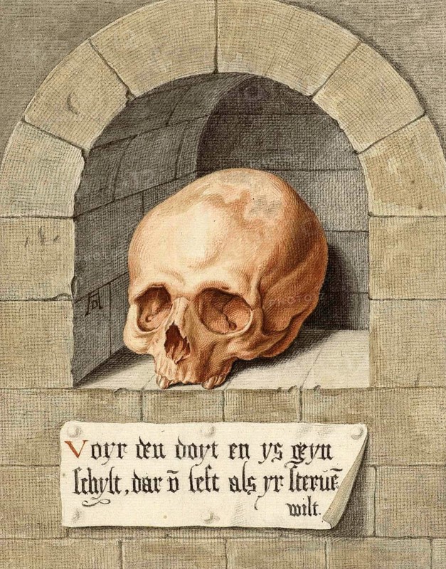 Skull in a Niche