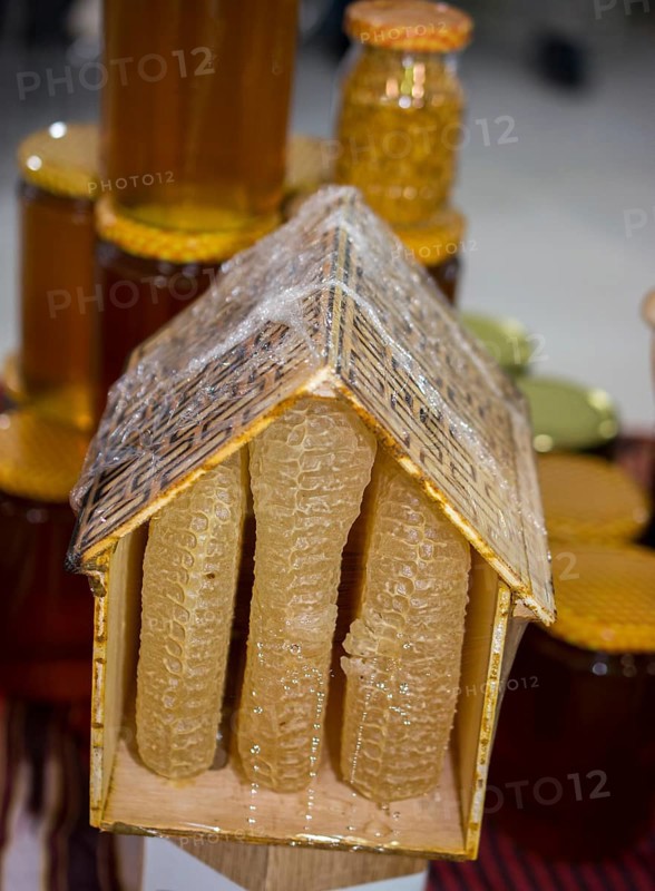 Sweet fresh honey in the sealed comb frame