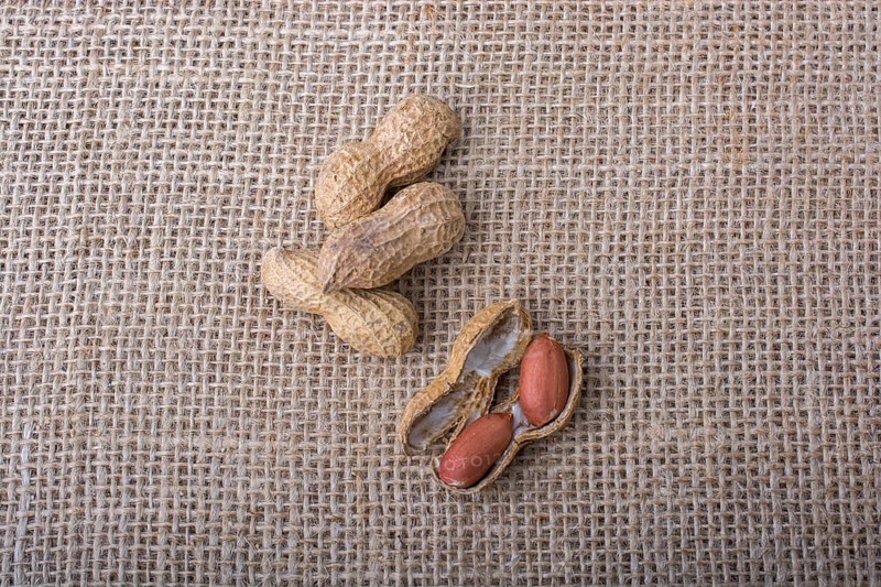 Cracked open peanuts with shell on a linen canvas background
