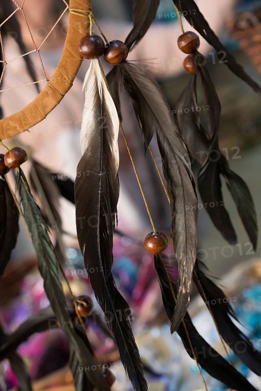 Beautiful bird feathers for decorative purposes