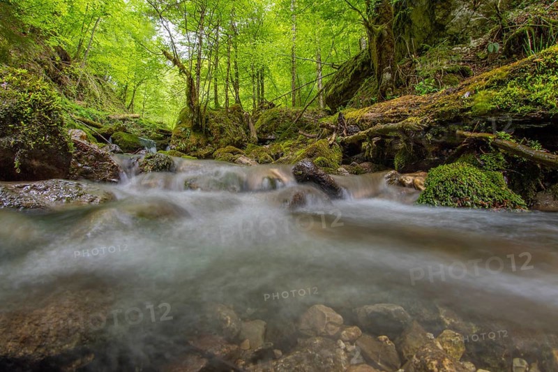 Underwater photograph of a waterfall in the UNESCO World Heritage Beech Forest in the Limestone Alps National Park