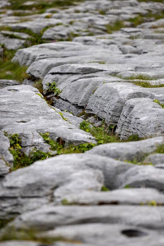 Barrows and gullies