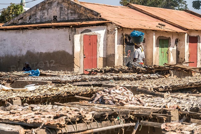 Wooden racks with fish to dry