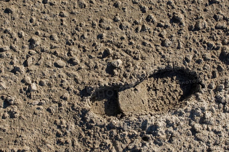 Footstep pattern seen on a concrete background