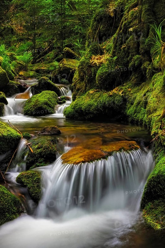 Small waterfall of the Gottschlaegbach stream near Ottenhoefen in the Black Forest