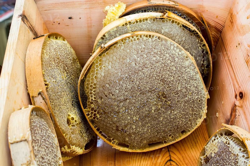 Sweet fresh honey in the sealed comb frame